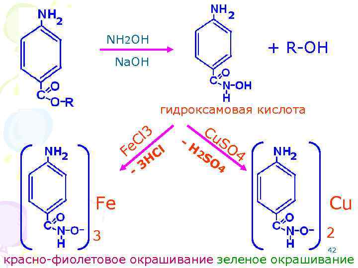 2 2 NH 2 OH + R-OH Na. OH гидроксамовая кислота l 3 C