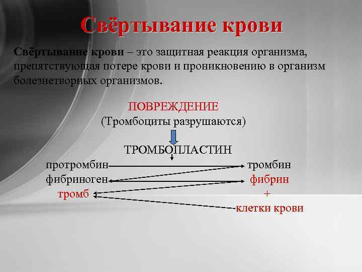 Свёртывание крови – это защитная реакция организма, препятствующая потере крови и проникновению в организм