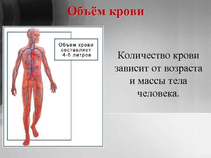 Объём крови Количество крови зависит от возраста и массы тела человека. 