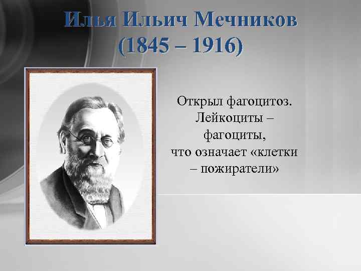 Илья Ильич Мечников (1845 – 1916) Открыл фагоцитоз. Лейкоциты – фагоциты, что означает «клетки