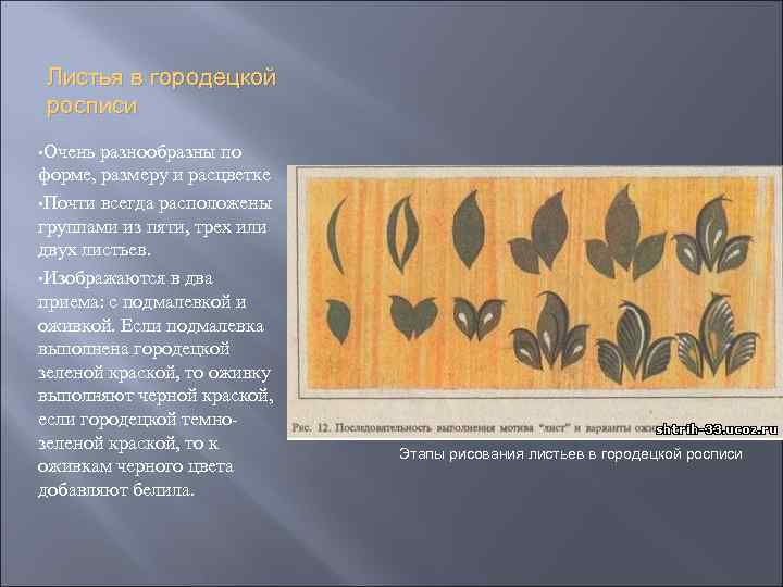 Листья в городецкой росписи • Очень разнообразны по форме, размеру и расцветке • Почти