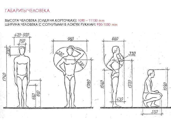 Высота человека на расстоянии. Высота человека сидя. Параметры человека Размеры. Высота сидячего человека. Габариты человека.