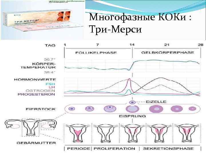 Многофазные КОКи : Три-Мерси 
