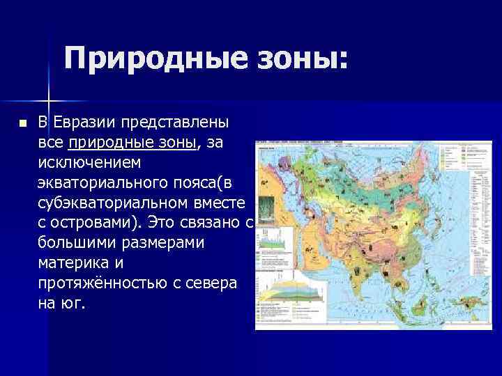Природные зоны: n В Евразии представлены все природные зоны, за исключением экваториального пояса(в субэкваториальном