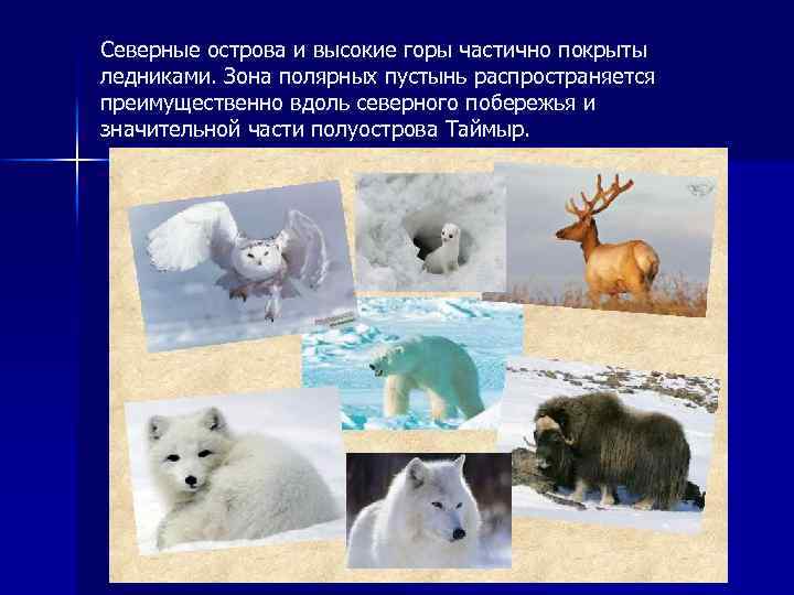 Северные острова и высокие горы частично покрыты ледниками. Зона полярных пустынь распространяется преимущественно вдоль