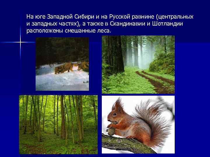 На юге Западной Сибири и на Русской равнине (центральных и западных частях), а также