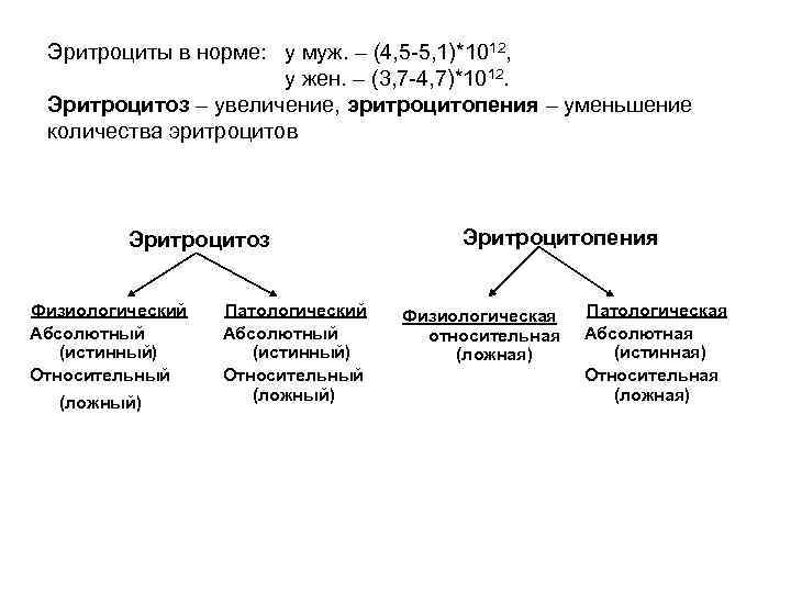 Эритроциты в норме: у муж. – (4, 5 -5, 1)*1012, у жен. – (3,