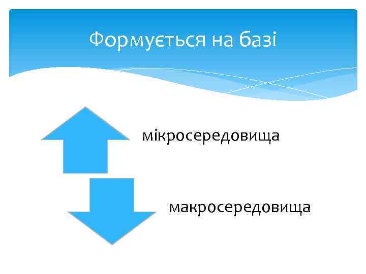 Формується на базі мікросередовища макросередовища 
