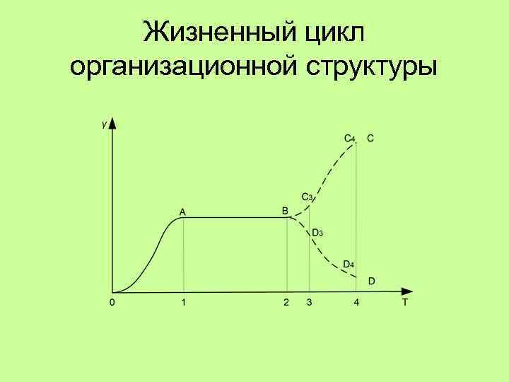 Жизненный цикл организационной структуры 