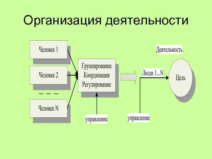 Организация деятельности 