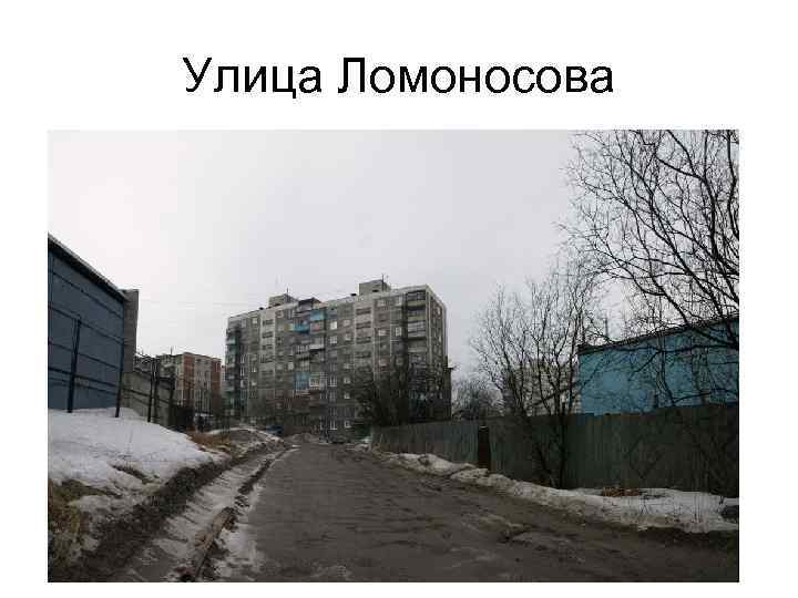 Улица Ломоносова 