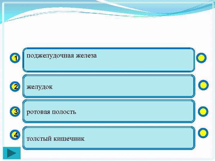 1 поджелудочная железа 2 желудок 3 ротовая полость 4 толстый кишечник 