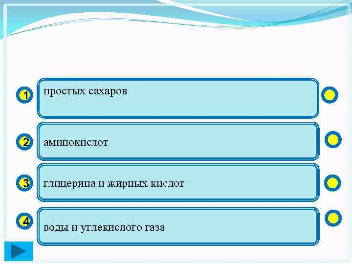 1 простых сахаров 2 аминокислот 3 глицерина и жирных кислот 4 воды и углекислого