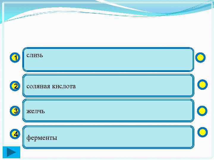 1 слизь 2 соляная кислота 3 желчь 4 ферменты 