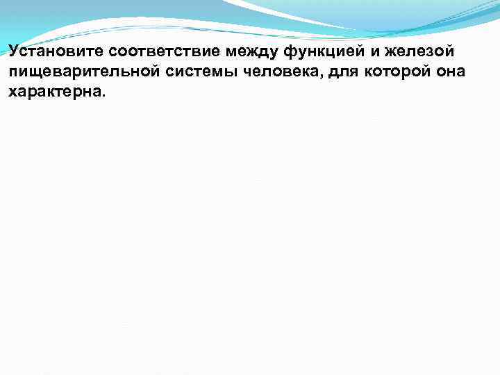 Установите соответствие между функцией и железой пищеварительной системы человека, для которой она характерна. 