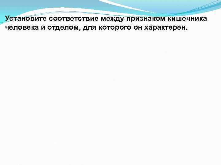 Установите соответствие между признаком кишечника человека и отделом, для которого он характерен. 