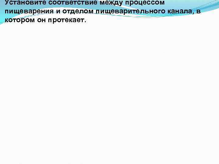 Установите соответствие между процессом пищеварения и отделом пищеварительного канала, в котором он протекает. 