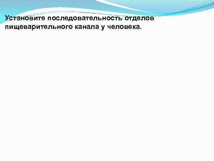 Установите последовательность отделов пищеварительного канала у человека. 