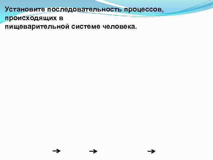 Установите последовательность процессов, происходящих в пищеварительной системе человека. 