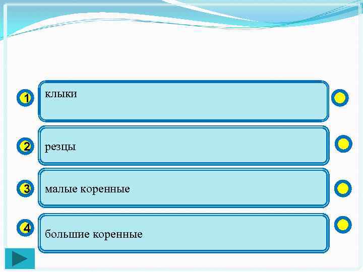 1 клыки 2 резцы 3 малые коренные 4 большие коренные 