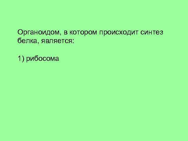 Органоидом, в котором происходит синтез белка, является: 1) рибосома 2)эндоплазматическая сеть 3)клеточная мембрана 4)митохондрия