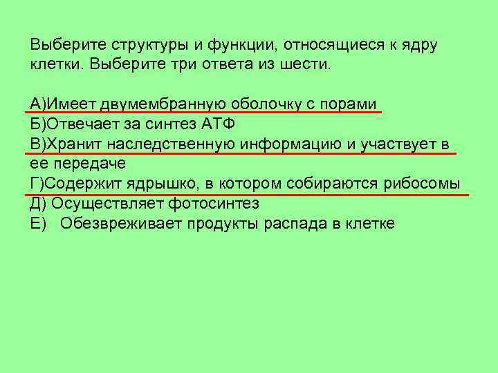 Функция не относится к. Выберите структуры и функции относящиеся к ядру клетки. Выберете структуры и функции, относящиеся к ядру клетки. Структурные функции относящиеся к ядру клетки. Ядру функции относящиеся клетки.