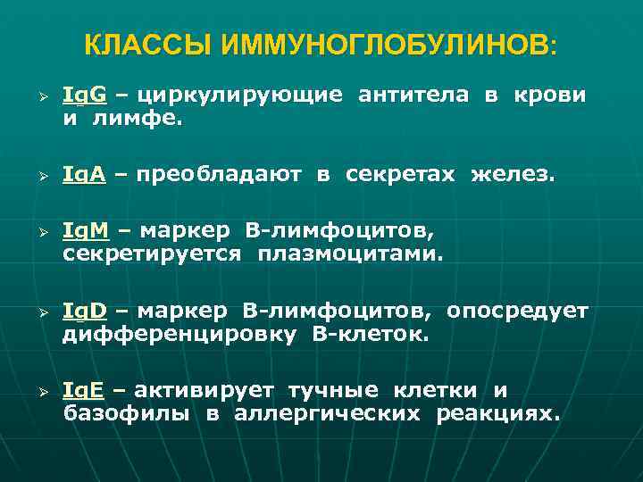 КЛАССЫ ИММУНОГЛОБУЛИНОВ: Ø Ø Ø Ig. G – циркулирующие антитела в крови и лимфе.
