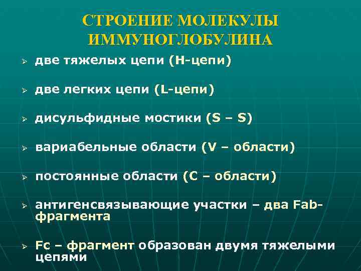 СТРОЕНИЕ МОЛЕКУЛЫ ИММУНОГЛОБУЛИНА Ø две тяжелых цепи (Н-цепи) Ø две легких цепи (L-цепи) Ø