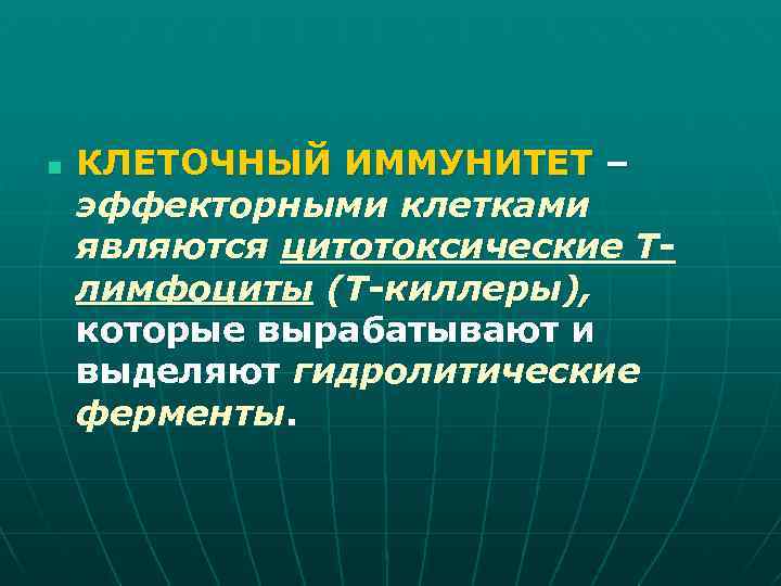 n КЛЕТОЧНЫЙ ИММУНИТЕТ – эффекторными клетками являются цитотоксические Тлимфоциты (Т-киллеры), которые вырабатывают и выделяют