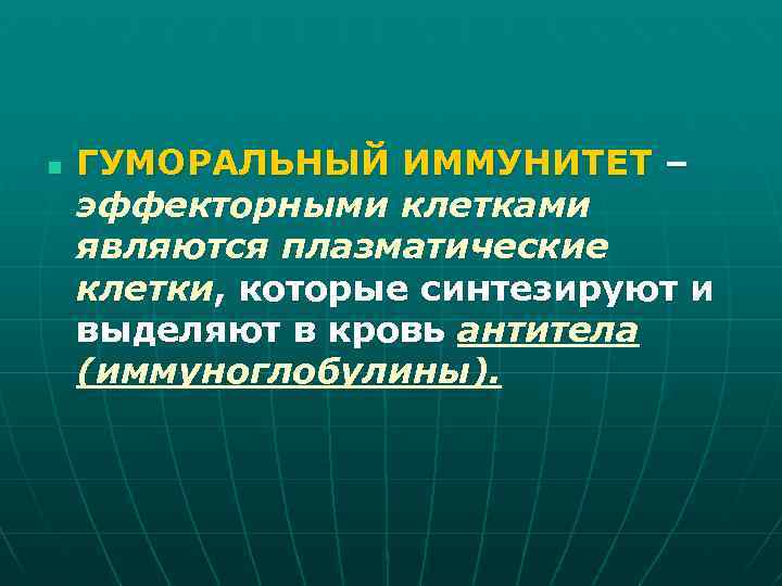 n ГУМОРАЛЬНЫЙ ИММУНИТЕТ – эффекторными клетками являются плазматические клетки, которые синтезируют и выделяют в