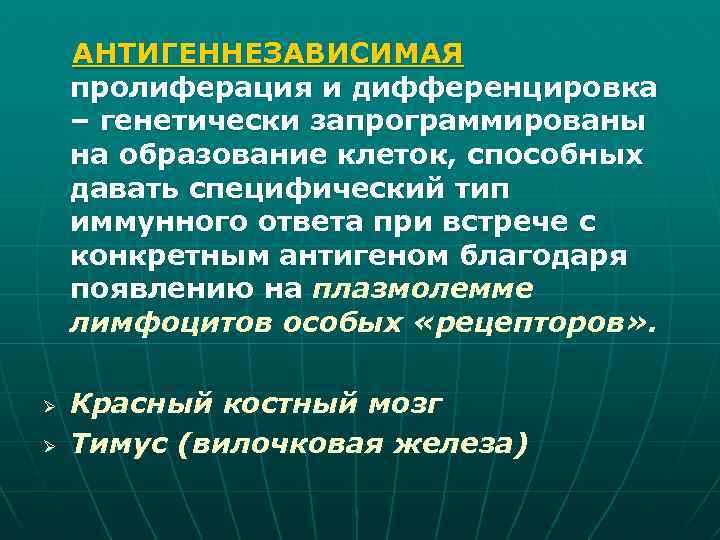 Пролиферация клеток это. Антиен независимая дифференцировка. Антигеннезависимая дифференцировка в-лимфоцитов. Антигенннзависимая диф. Этапы антигензависимоц дифференцировкт.