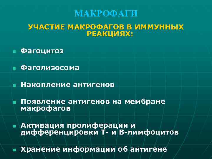 МАКРОФАГИ УЧАСТИЕ МАКРОФАГОВ В ИММУННЫХ РЕАКЦИЯХ: n Фагоцитоз n Фаголизосома n Накопление антигенов n