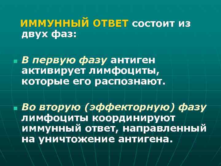 ИММУННЫЙ ОТВЕТ состоит из двух фаз: n n В первую фазу антиген активирует лимфоциты,