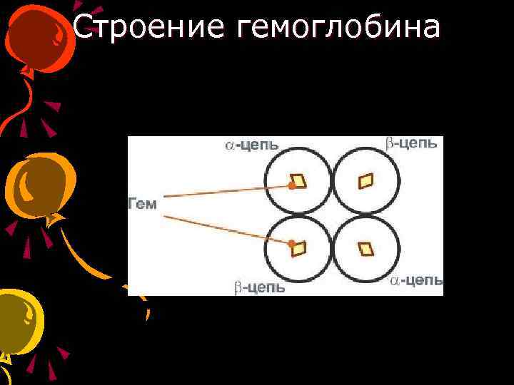 Строение гемоглобина 