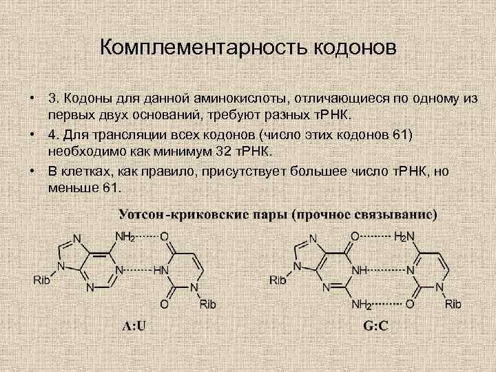 Проекты по биохимии 10 класс