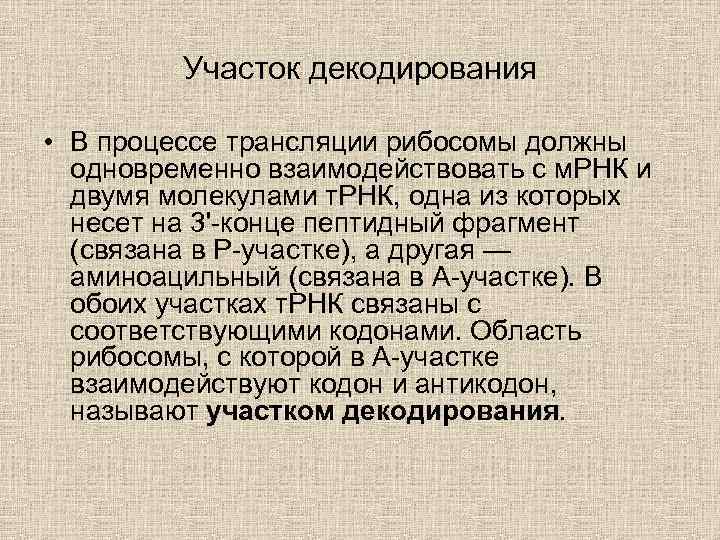 Участок декодирования • В процессе трансляции рибосомы должны одновременно взаимодействовать с м. РНК и