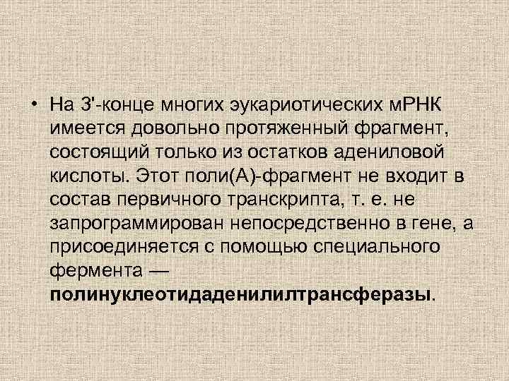  • На 3'-конце многих эукариотических м. РНК имеется довольно протяженный фрагмент, состоящий только