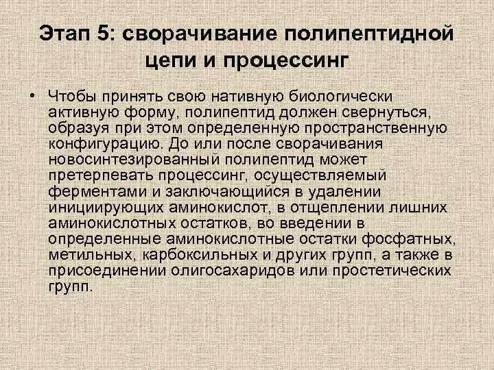 Этап 5: сворачивание полипептидной цепи и процессинг • Чтобы принять свою нативную биологически активную