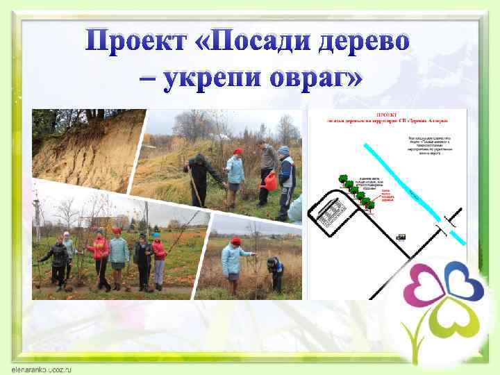 Проект «Посади дерево – укрепи овраг» 