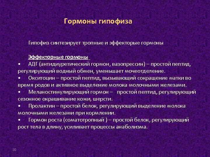 Гормоны гипофиза Гипофиз синтезирует тропные и эффекторые гормоны Эффекторные гормоны • АДГ (антидиуретический гормон,