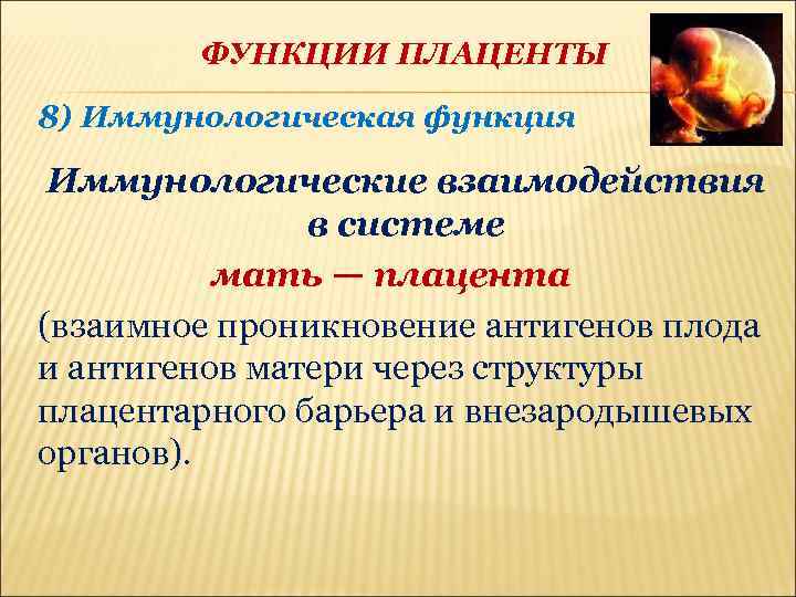 ФУНКЦИИ ПЛАЦЕНТЫ 8) Иммунологическая функция Иммунологические взаимодействия в системе мать — плацента (взаимное проникновение