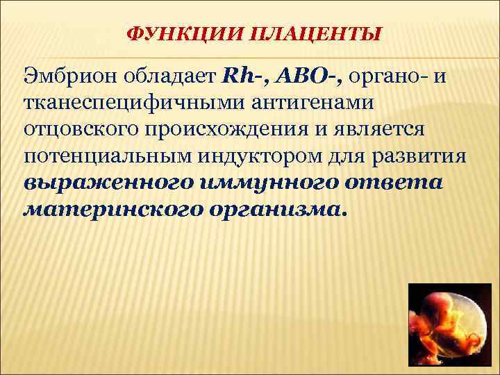 ФУНКЦИИ ПЛАЦЕНТЫ Эмбрион обладает Rh-, ABО-, органо- и тканеспецифичными антигенами отцовского происхождения и является