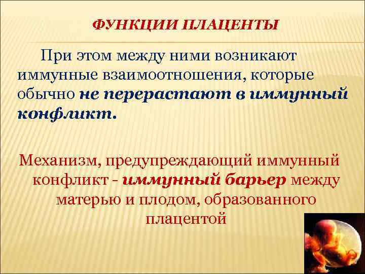 ФУНКЦИИ ПЛАЦЕНТЫ При этом между ними возникают иммунные взаимоотношения, которые обычно не перерастают в