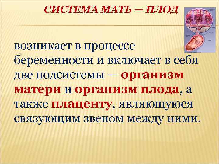 СИСТЕМА МАТЬ — ПЛОД возникает в процессе беременности и включает в себя две подсистемы