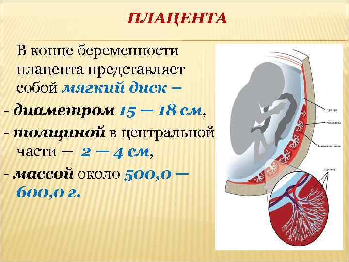 Эндокринная функция плаценты презентация