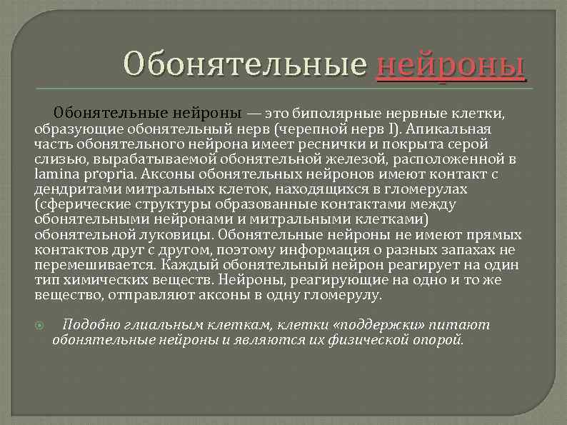 Обонятельные нейроны — это биполярные нервные клетки, образующие обонятельный нерв (черепной нерв I). Апикальная