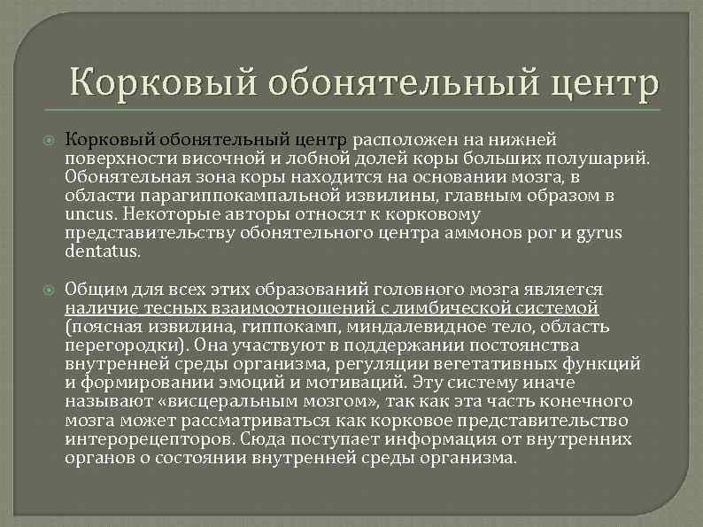 Корковый обонятельный центр расположен на нижней поверхности височной и лобной долей коры больших полушарий.