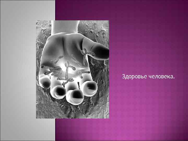 Здоровье человека. 