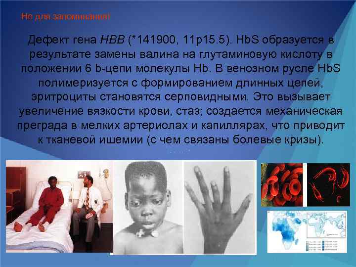 Не для запоминания! Дефект гена HBB (*141900, 11 p 15. 5). Hb. S образуется