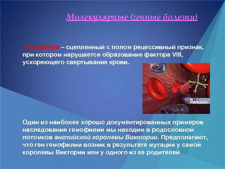 Молекулярные (генные болезни) Гемофилия – сцепленный с полом рецессивный признак, при котором нарушается образование